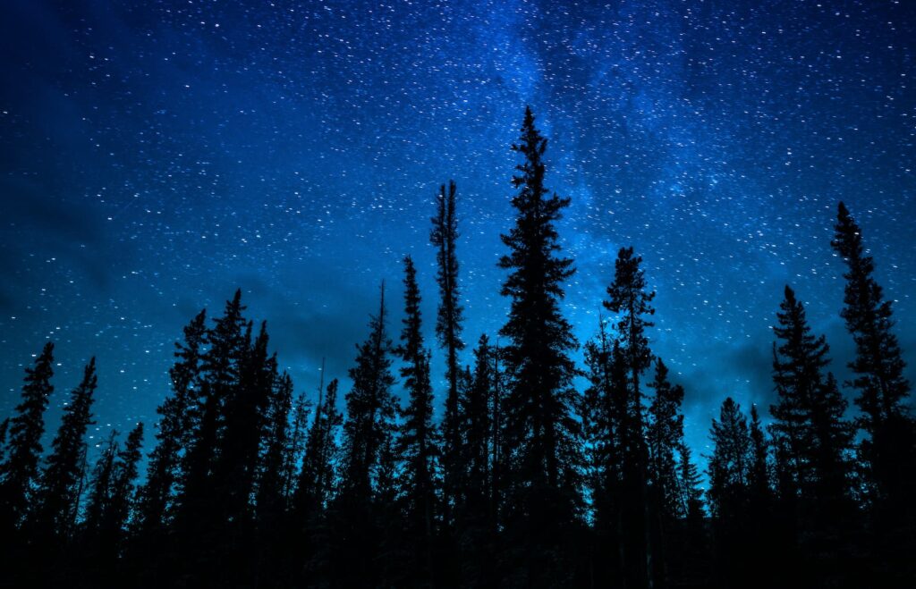 Before You Were Born blog cover — spiritual parenting theme